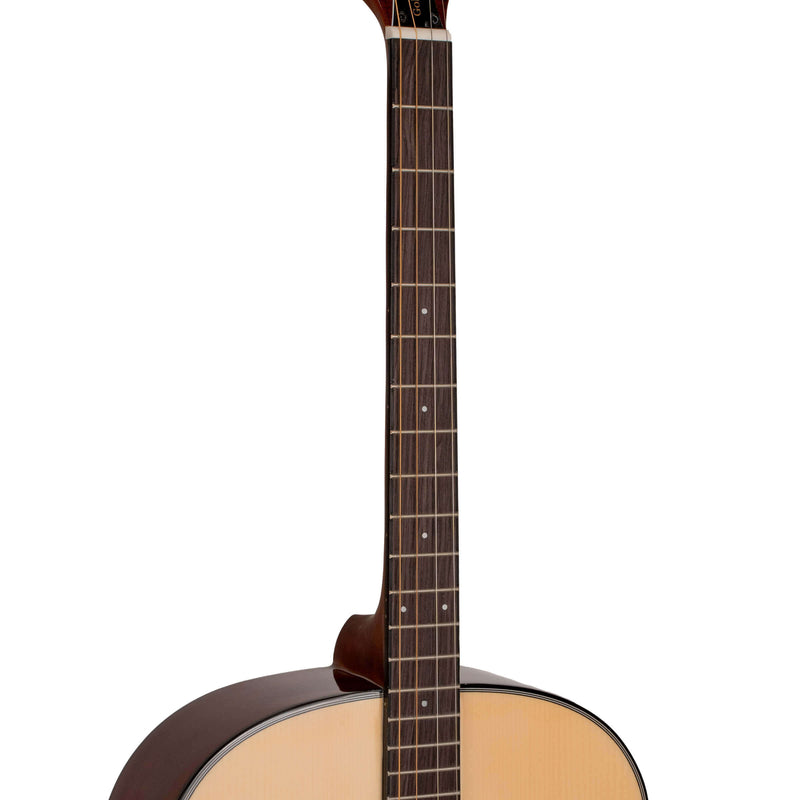 Gold Tone TG-10: Tenor Guitar with Gig Bag