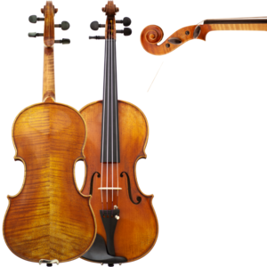 Maple Leaf Strings Lord Wilton  Intermediate Violin with Case