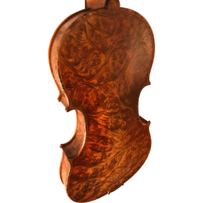 Maple Leaf Strings Burled Maple  Intermediate Violin with Case