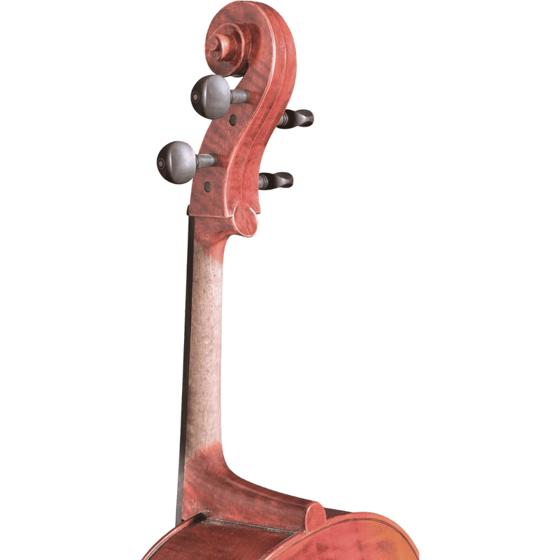 Maple Leaf Strings Ruby Intermediate Cello Series with Case