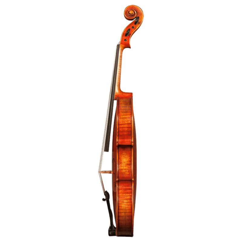 Nicolas Parola AP30E Viola