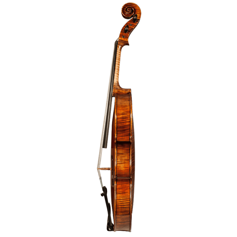Nicolas Parola AP20N Viola
