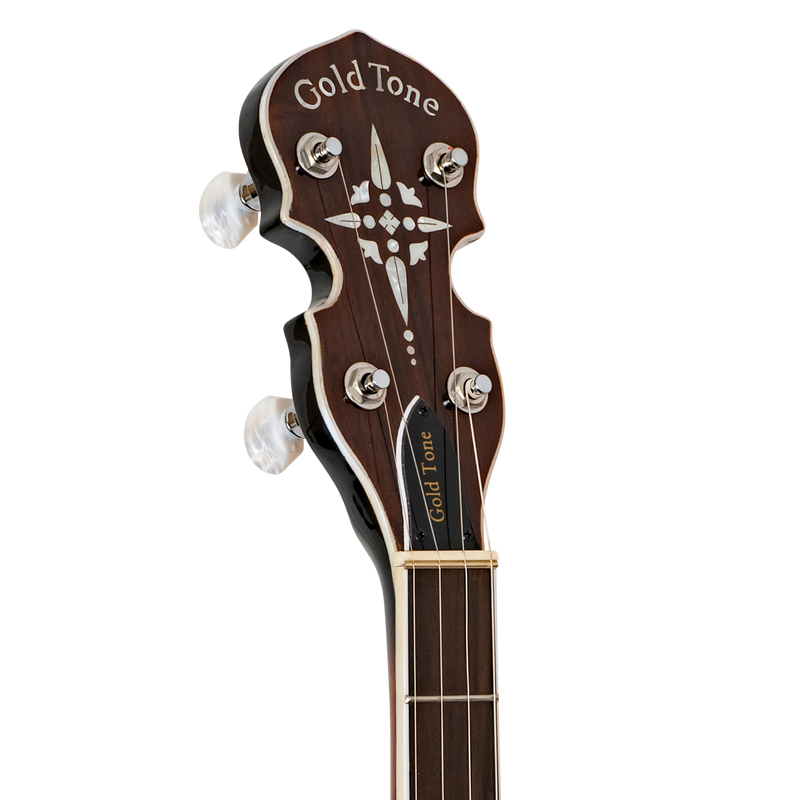 Gold Tone BG-150F: Bluegrass Banjo with Flange and Bag