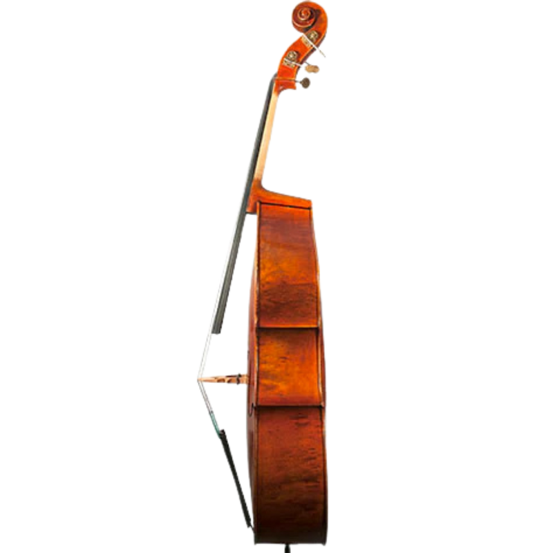 Nicolas Parola VB15E Bass