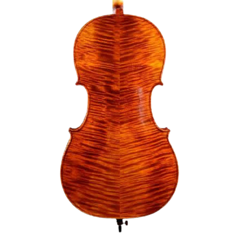 H. Luger C500 Cello Outfit