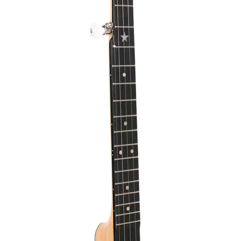 Gold Tone BC-350: Bob Carlin Banjo with Case