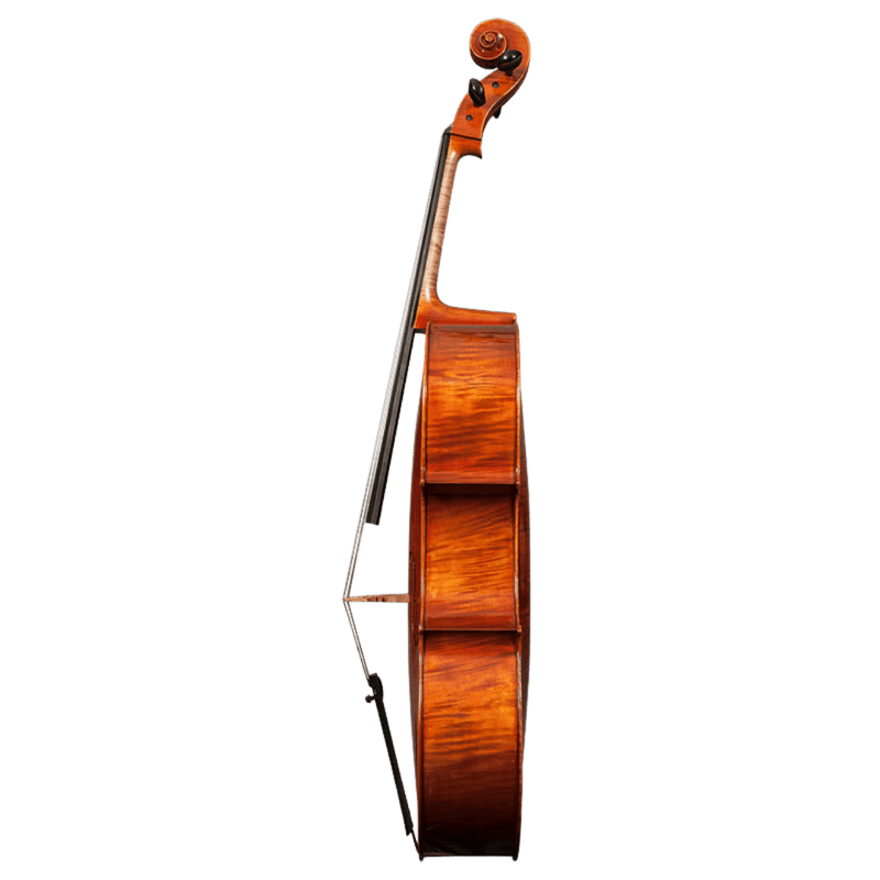 Trista Select Cello By Stefan Petrov
