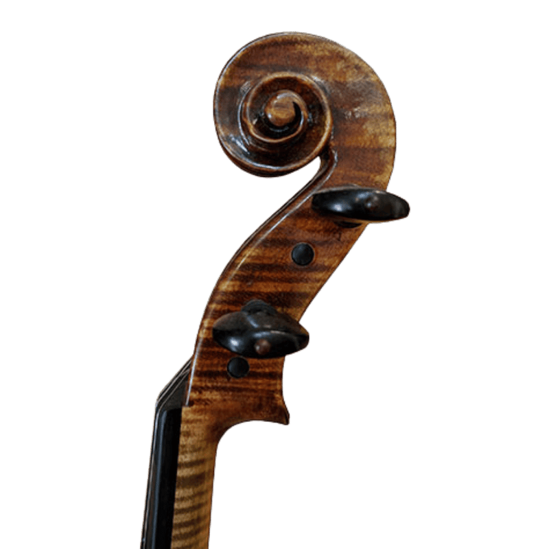 Stefan Petrov Superior Viola
