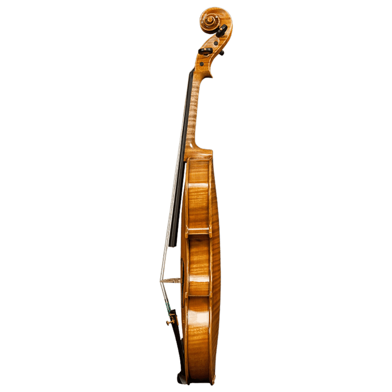 Danio Wu Master Consortium Violin