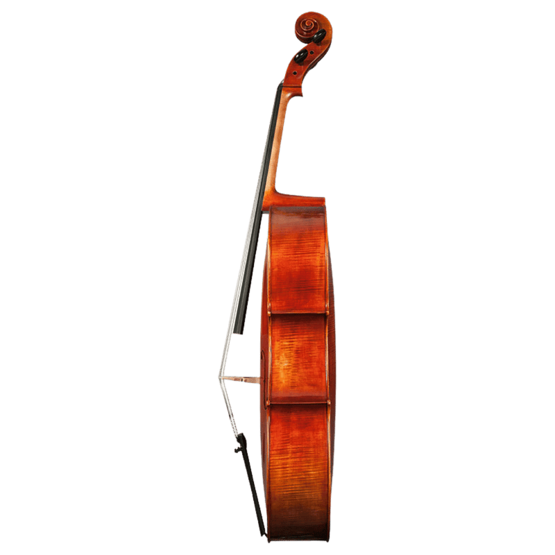 Nicolas Parola CP30E Cello
