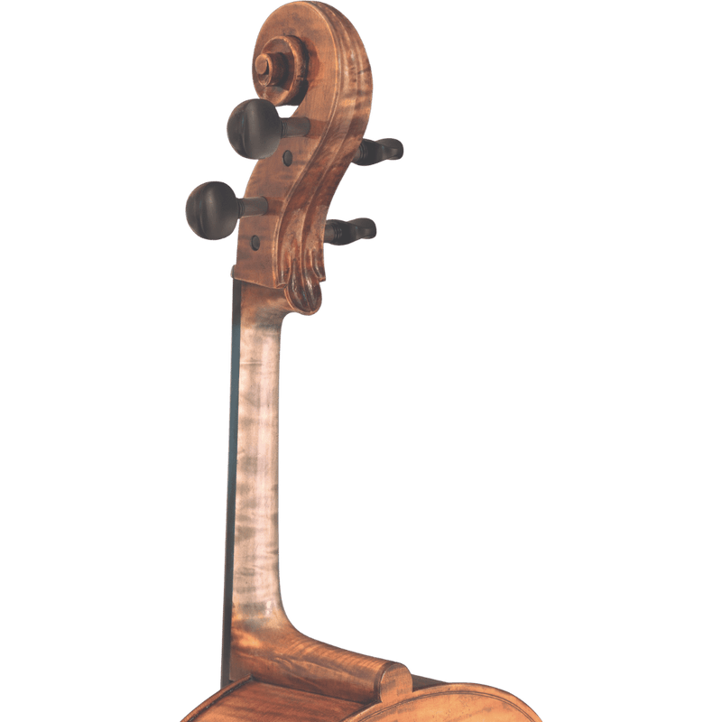 Maple Leaf Strings Haddock professional Cello with Case