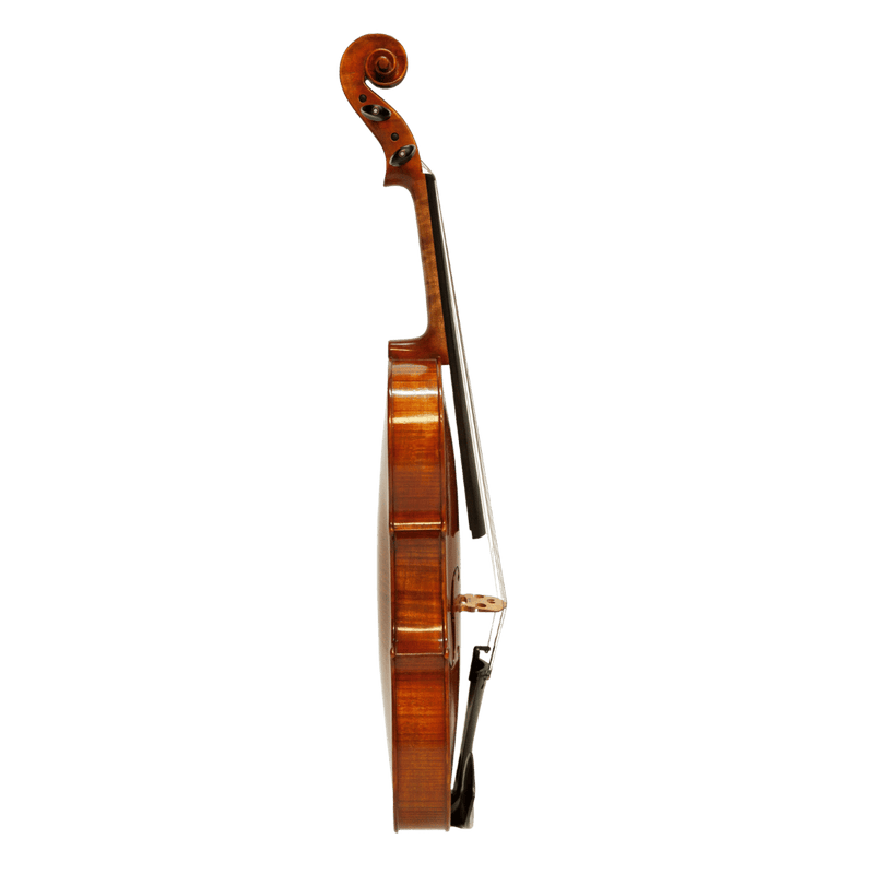 Nicolo Marcasi Viola