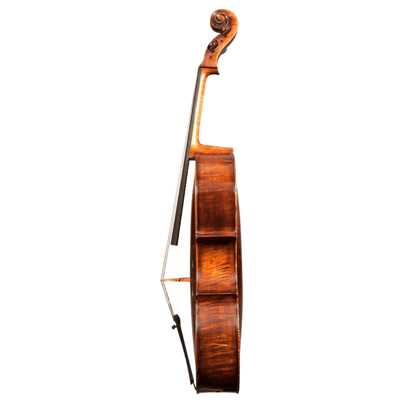 Nicolas Parola CP7 Cello