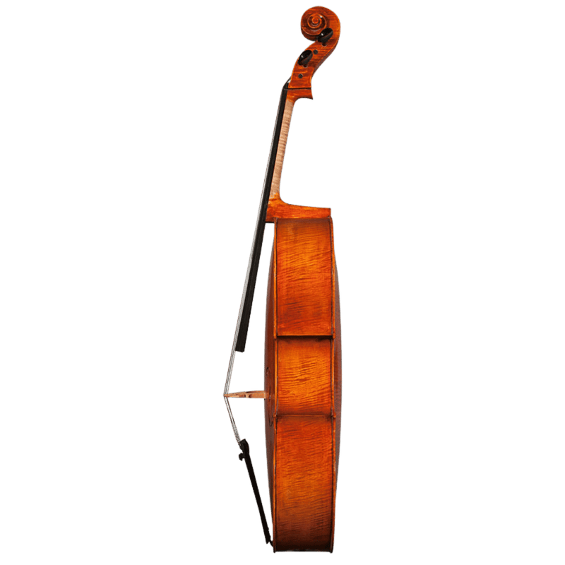 Nicolas Parola CP20N Cello