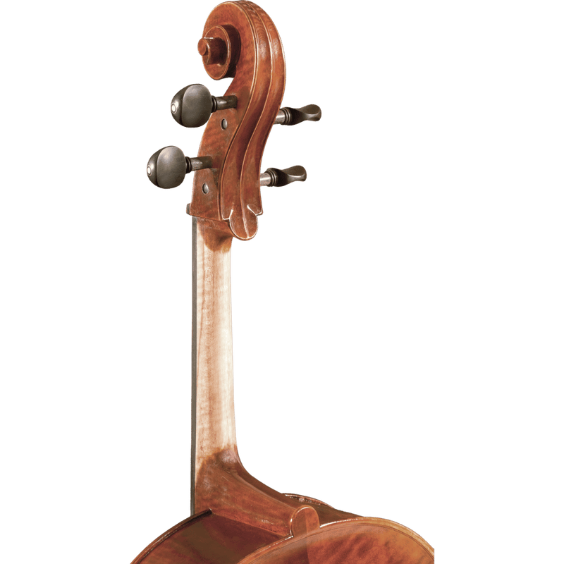 Maple Leaf Strings Chaconne Intermediate Cello with Case