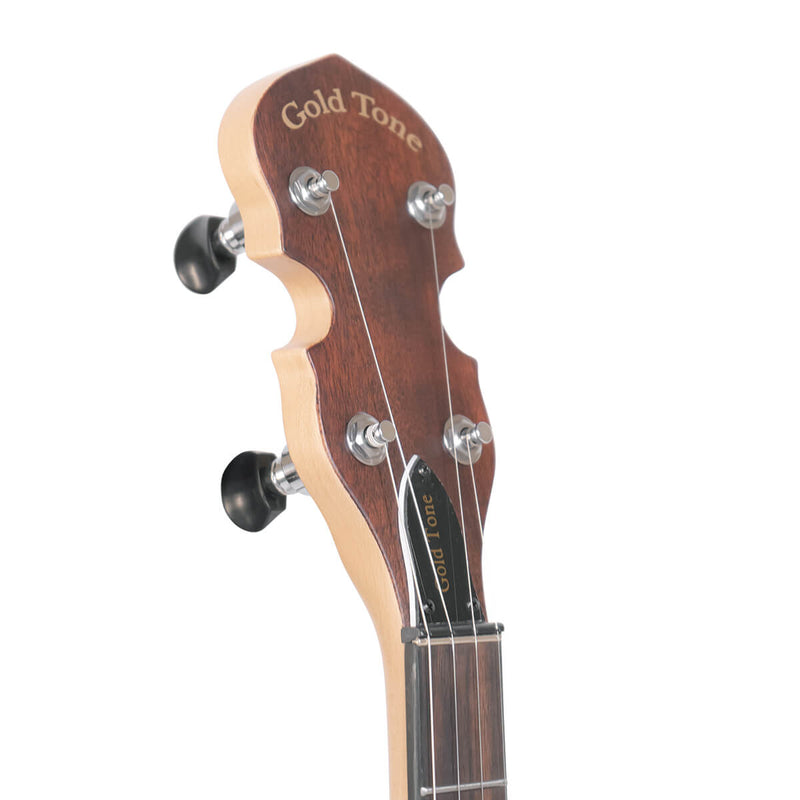 Gold Tone EB-5 Electric Banjo with Gig Bag