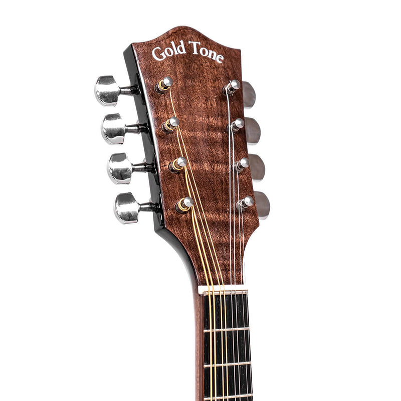 Gold Tone MB-850+: Mandolin-Banjo with Bag