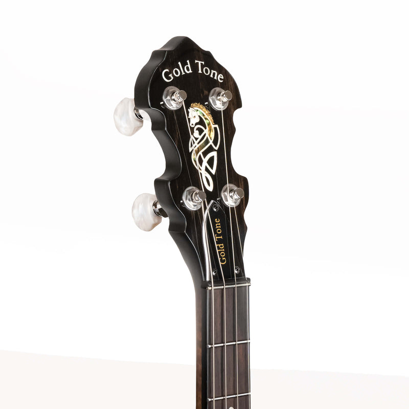 Gold Tone  IT-19: Irish Tenor Banjo with 19 Frets and Gig Bag
