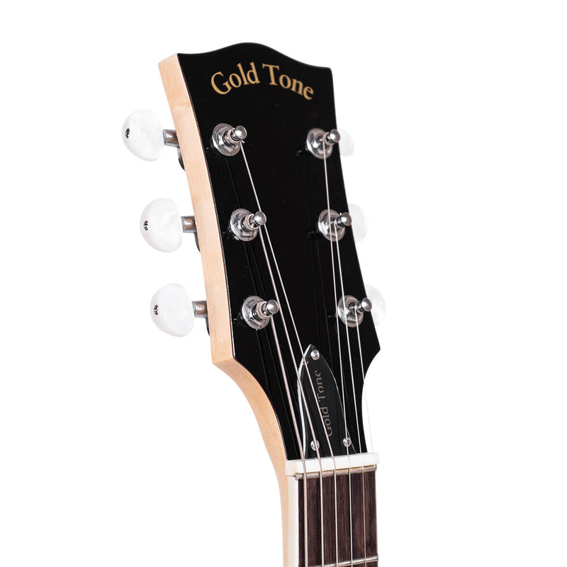 Gold Tone GT-750: Banjitar Deluxe with Case