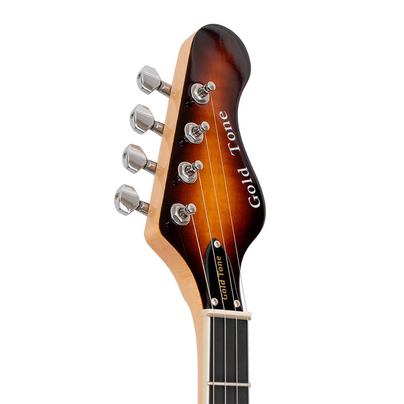 Gold Tone EBT: 5-String Banjo with "Tele" Body