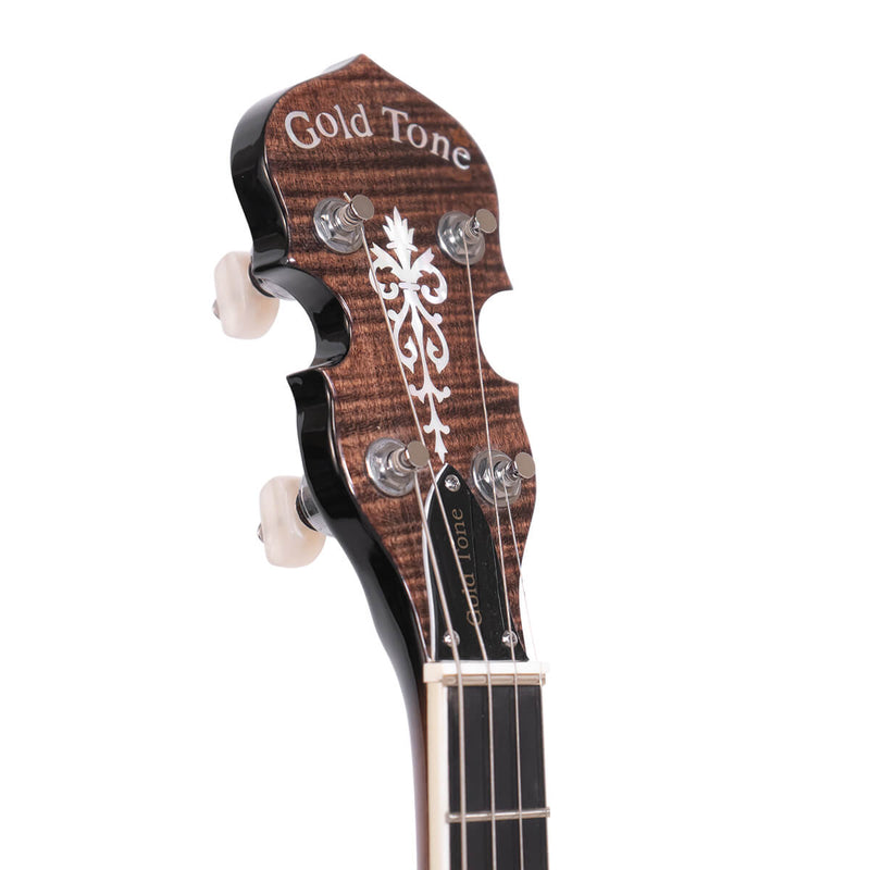 Gold Tone IT-250: Irish Tenor Banjo with Case