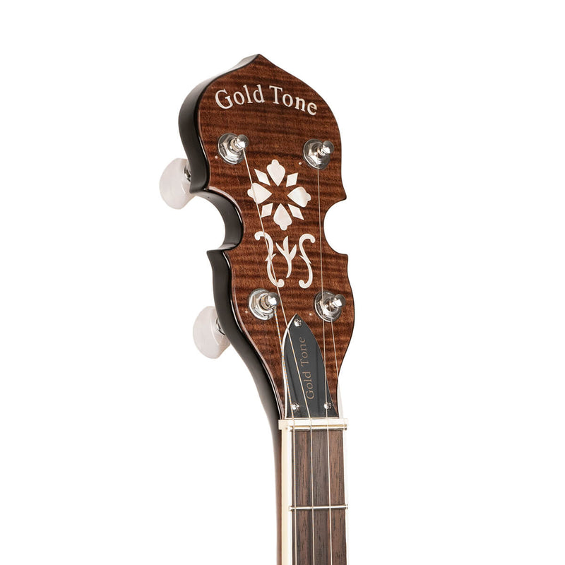 Gold Tone TS-250: Tenor Special Banjo with Case