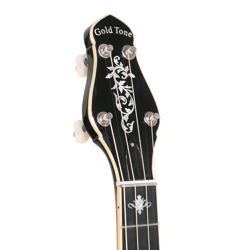 Gold Tone CEB-5: 5-String Cello Banjo with Case