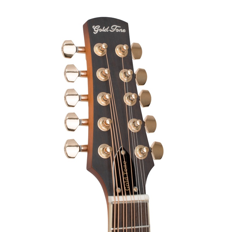 Gold Tone F-10: 10-String F-Style Mandolin with Pickup and Case