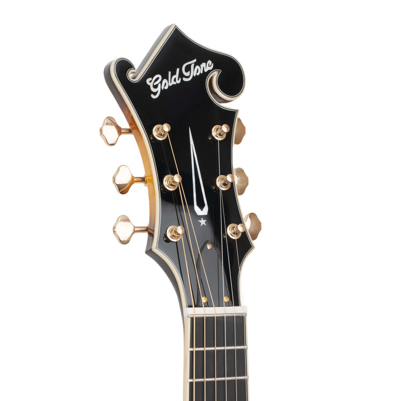 Gold Tone F-6+: F-style Mando-Guitar with Pickup, Volume Control, and Case