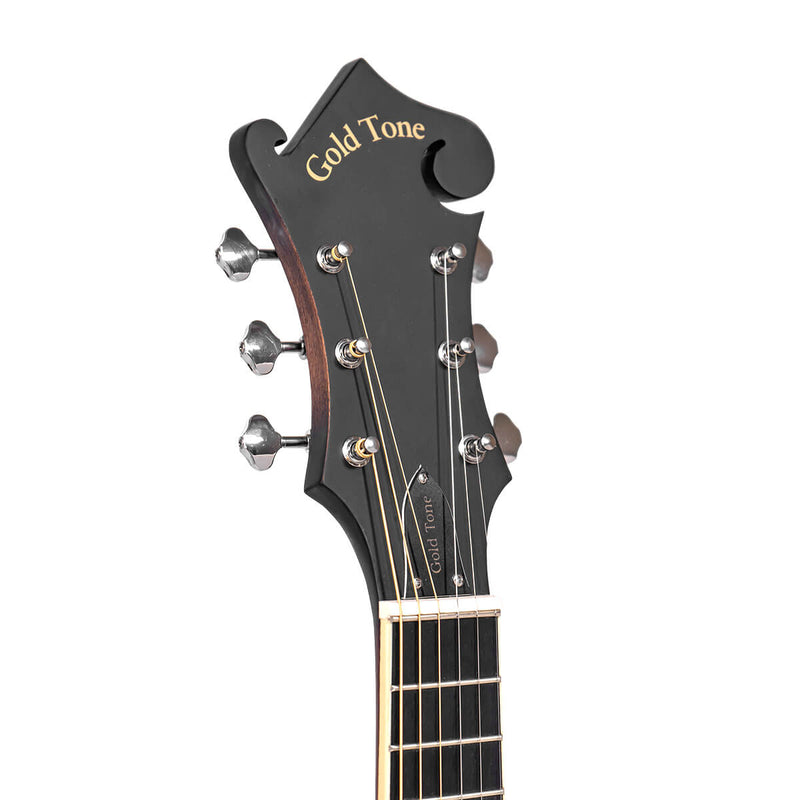 Gold Tone F-6: F-style Mando-Guitar with Pickup and Case
