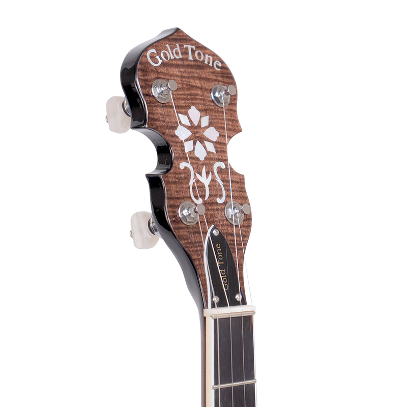Gold Tone PS-250: Plectrum Special Banjo with Case