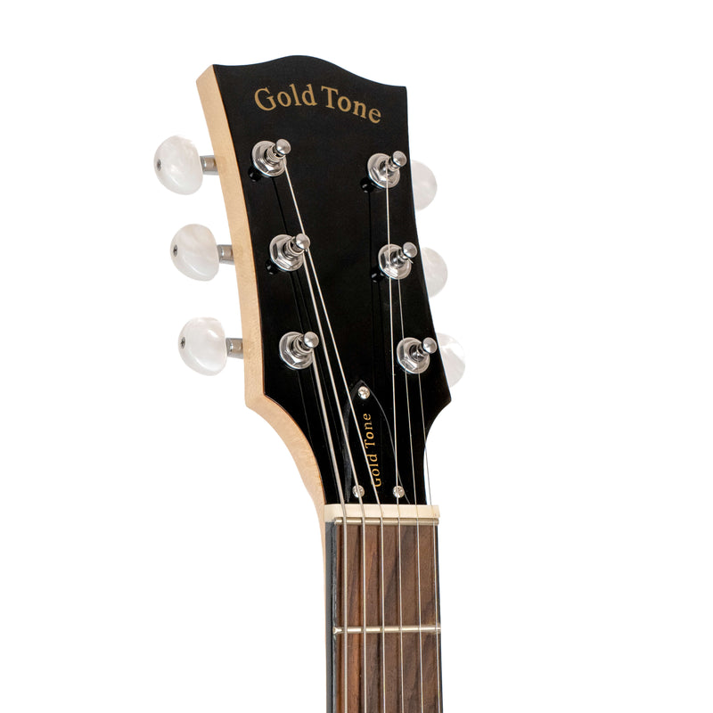 Gold Tone GT-500: Banjitar with Case