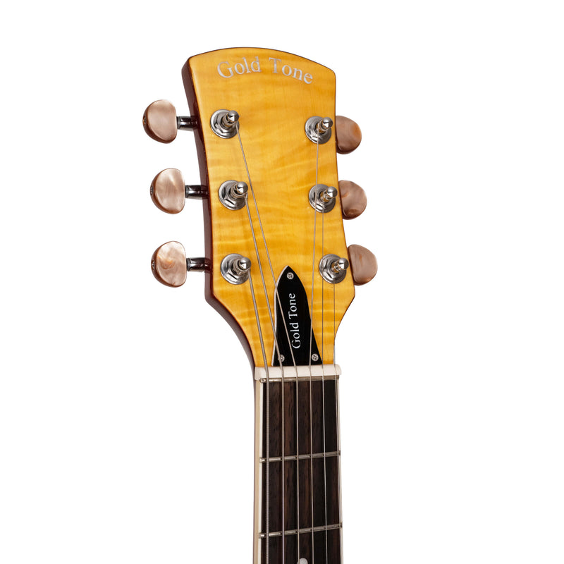 Gold Tone Mojo: Round-neck Resonator Guitar with Pickup and Case