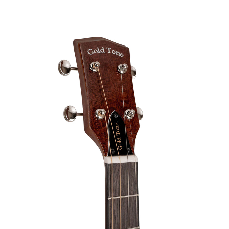 Gold Tone TG-10: Tenor Guitar with Gig Bag