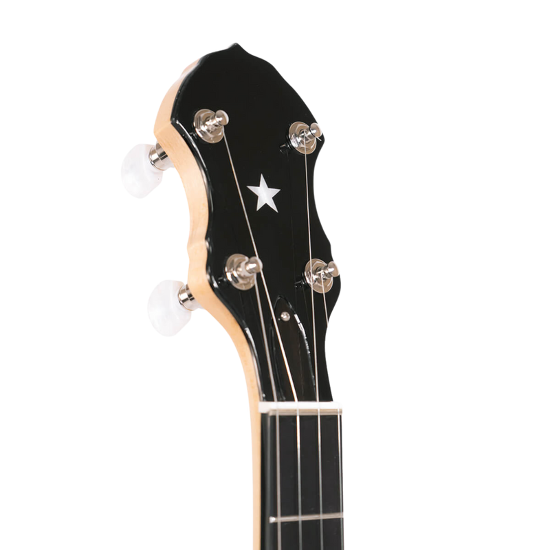 Gold Tone BC-350: Bob Carlin Banjo with Case