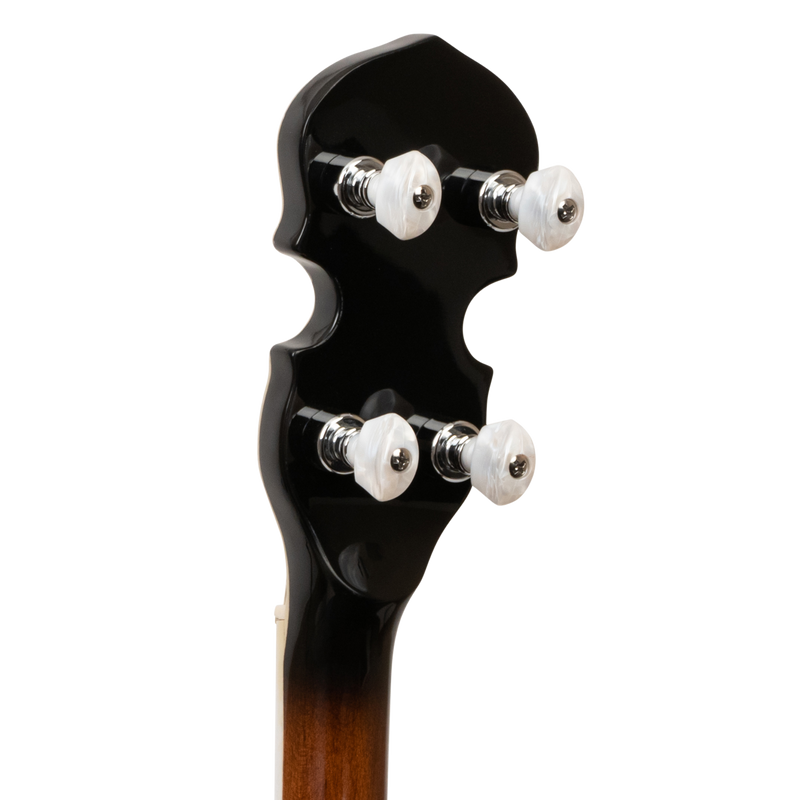 Gold Tone BG-150F: Bluegrass Banjo with Flange and Bag