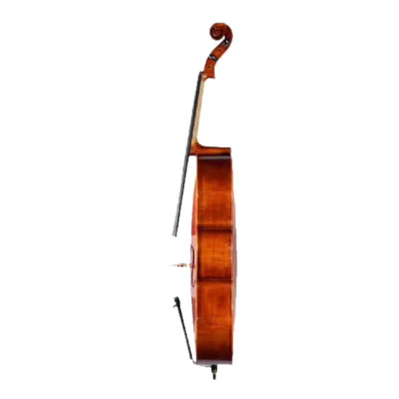 H. Luger C500 Cello Outfit