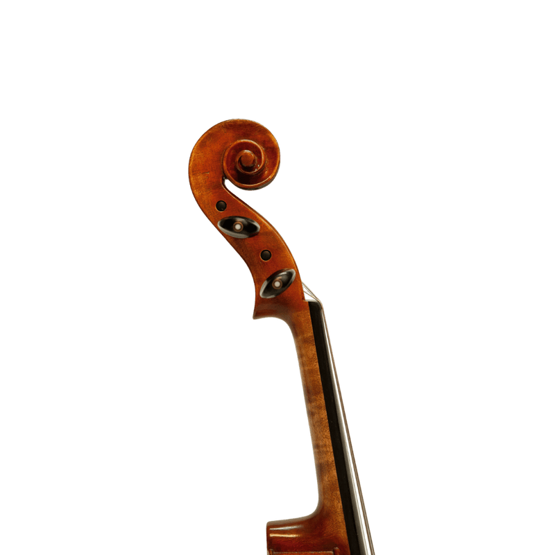 Nicolo Marcasi Viola