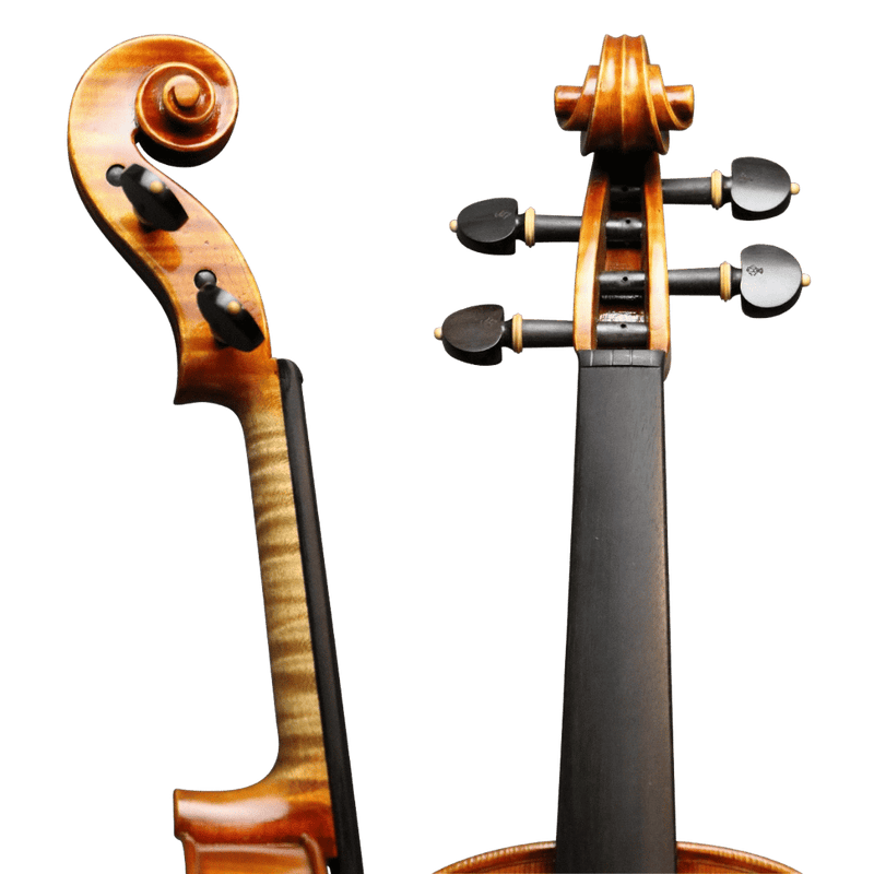 Lelio Pan Master Consortium Violin