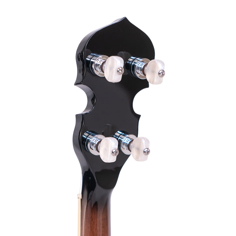 Gold Tone PS-250: Plectrum Special Banjo with Case