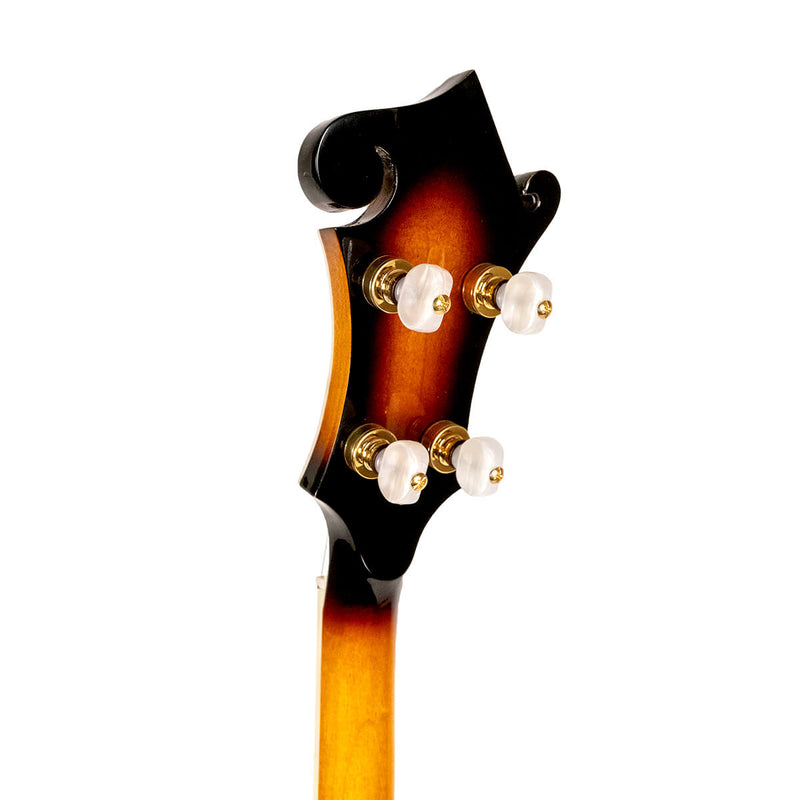 Gold Tone EBM-5: Electric Banjo