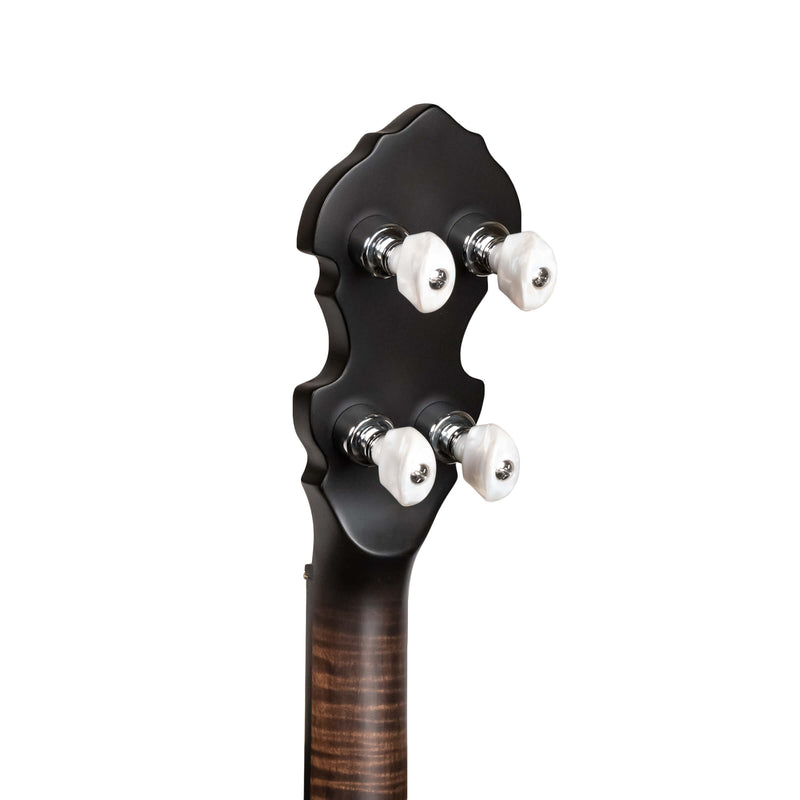 Gold Tone  IT-19: Irish Tenor Banjo with 19 Frets and Gig Bag