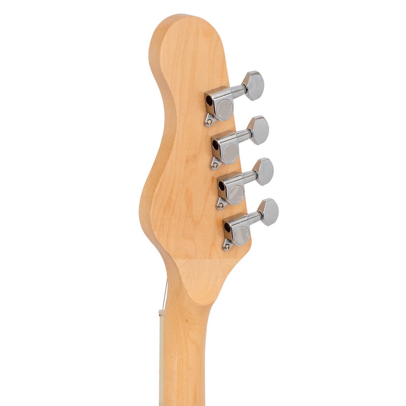 Gold Tone EBT: 5-String Banjo with "Tele" Body