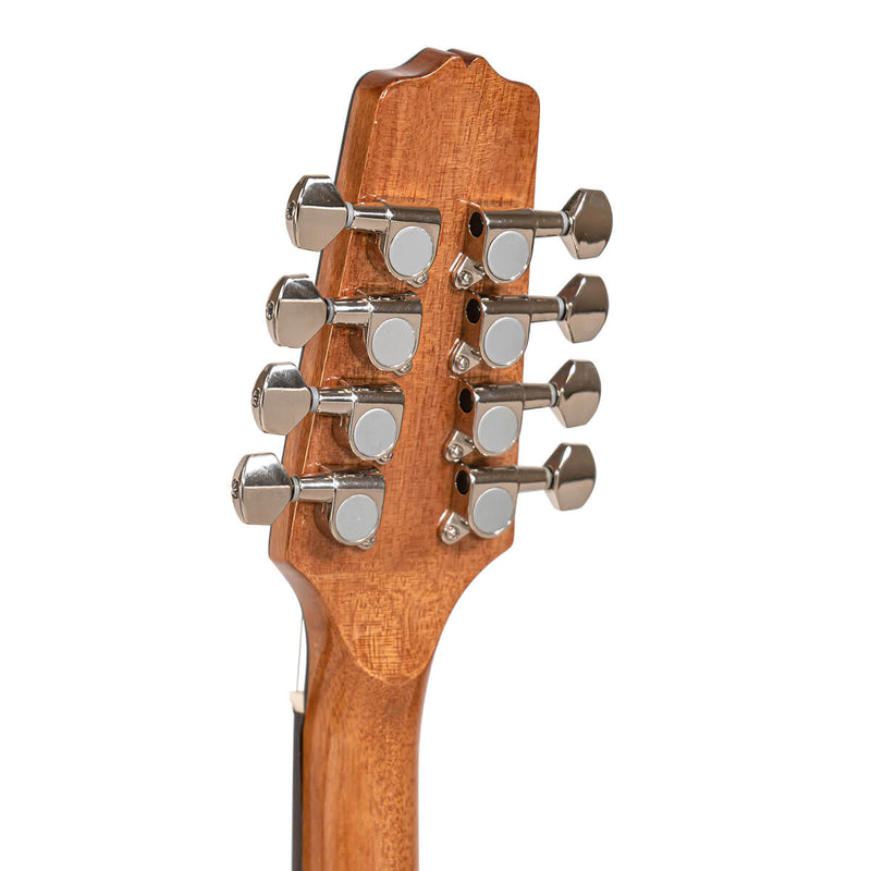 Gold Tone BZ-500: Irish Bouzouki Mandolin with Pickup and Case