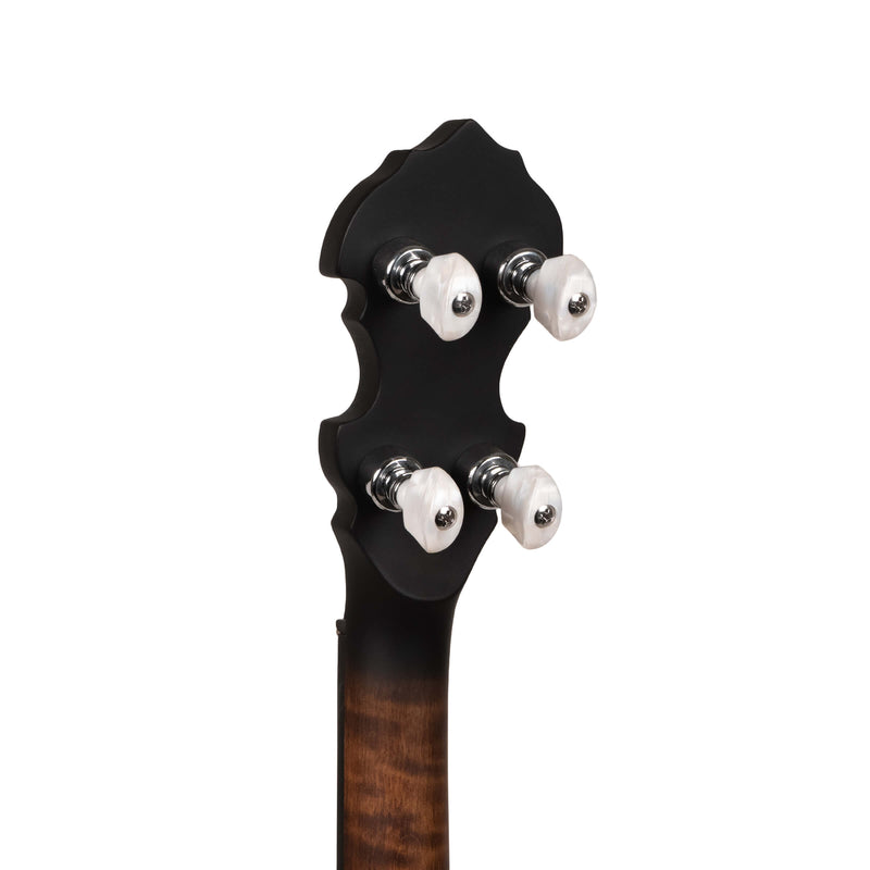Gold Tone  IT-17: Irish Tenor Banjo with 17 Frets and Gig Bag