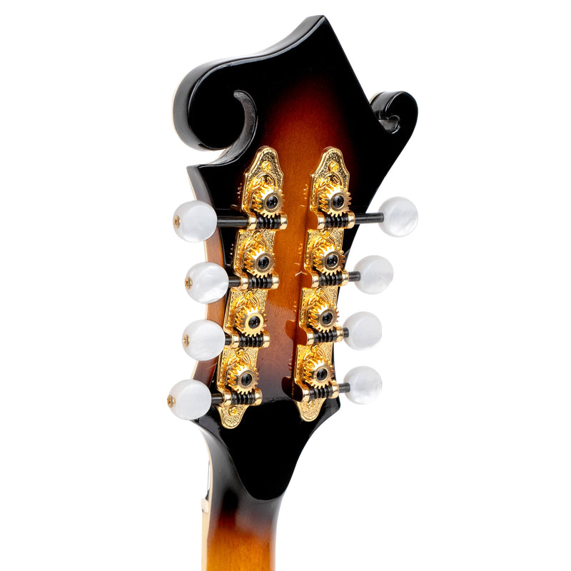 Gold Tone Mastertone™ GM-70+: F-Style Mandolin with Case