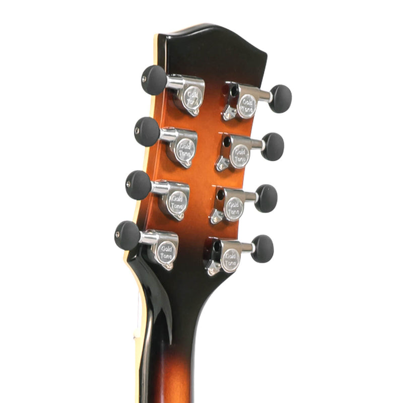 Mandocello: Mandocello with Pickup and Case