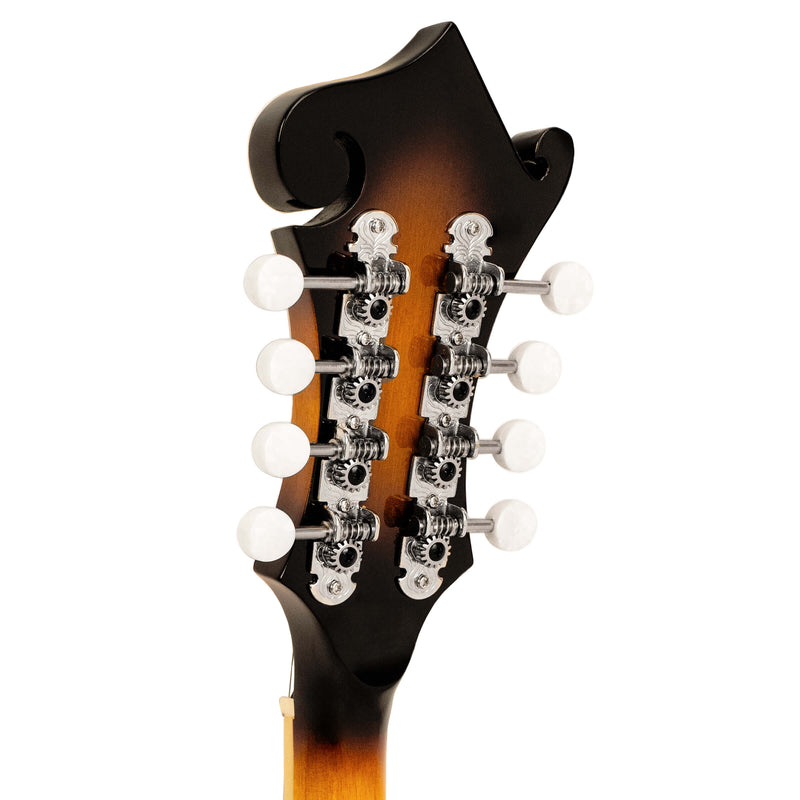 Gold Tone GM-35: F-Style Mandolin with Case