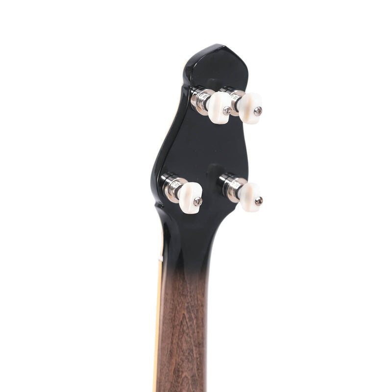 Gold Tone CEB-5: 5-String Cello Banjo with Case
