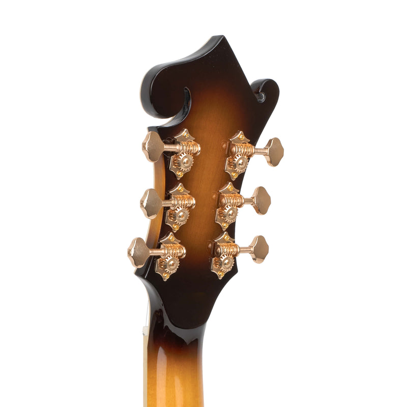 Gold Tone F-6+: F-style Mando-Guitar with Pickup, Volume Control, and Case